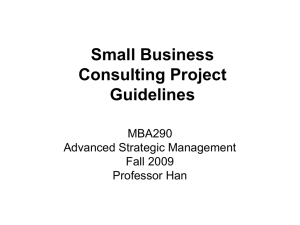 Small Business Project Guidelines