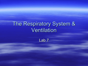 Laboratory 7: Ventilation