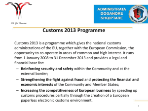 Customs 2013 Programme
