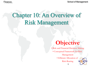 Chapter 10: An Overview of Risk Management