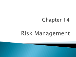 Chapter 14 Risk Management