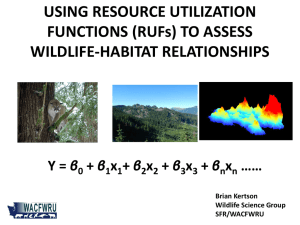USING RESOURCE UTILIZATION FUNCTIONS (RUFs) TO ASSESS