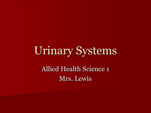 Urinary Systems
