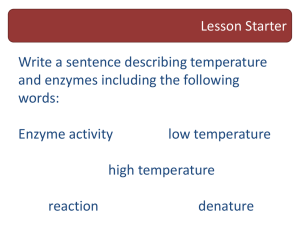 Enzyme revision 1