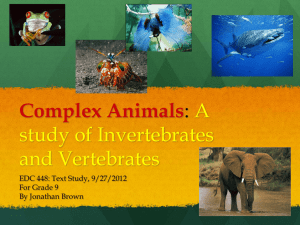 Complex Animals: A study of Invertebrates and Vertebrates