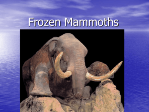 Frozen Mammoths - Wesley Grove Chapel