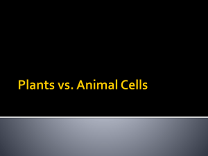 Plants vs. Animal Cells - Jefferson School District