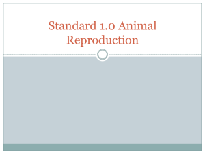 Standard 1.0 Animal Reproduction