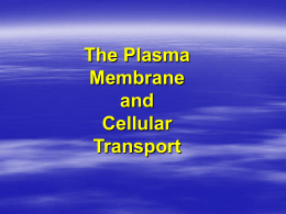 Biology 12 - Cell Membrane & Transport – Review Worksheet