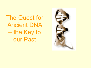 The Quest for Ancient DNA