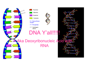DNA Structure PwrPt