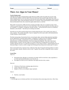 There are algae in your house Activity