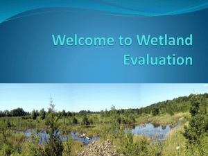 Wetland Evaluation - Otty Lake Association