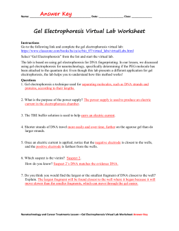 WOW BioLab- Gel Electrophoresis