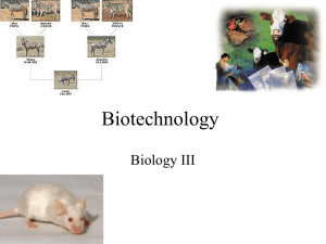 Chapter 13 – Genetic Engineering - Parkway C-2