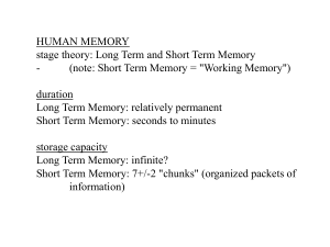 short-term ("working memory")