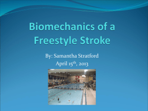 Biomechanics of a Freestyle Stroke - CCVI
