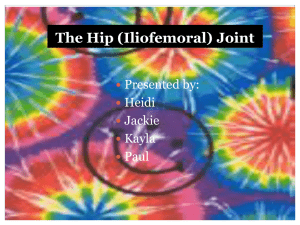 The Hip (Iliofemoral) Joint