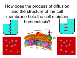 Real Life Diffusion Examples Powerpoint