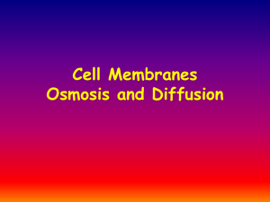 Cell Membranes Osmosis and Diffusion
