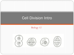Cell Division - HRSBSTAFF Home Page