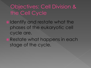 Objectives: Cell Division & the Cell Cycle