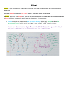 Meiosis notes - Madison County Schools