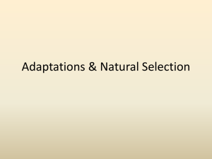 Adaptations & Natural Selection