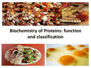 Biochemistry of Proteins: function and classification