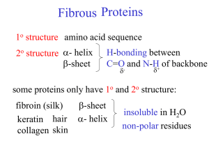 Fibrous proteins
