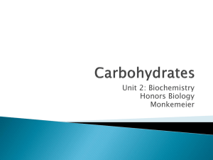 Carbohydrates - Madison Public Schools