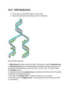 DNA Chapter 16-3 - Mentz AP Biology