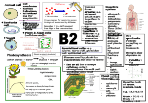 B2 revision poster
