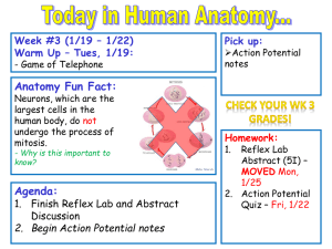 Student Notes Week 3 Action Potential