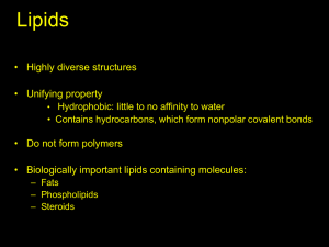 Lipids: structure and function