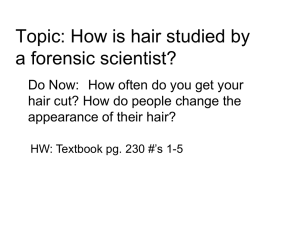 Topic: How is hair studied by a forensic scientist?