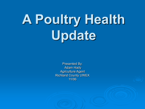 A Poultry Health Update