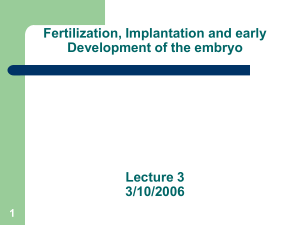 Fertilization, Implantation and early Development of the embryo