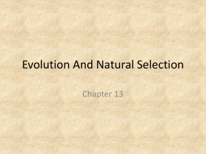 Bio11 Evolution And Natural Selection