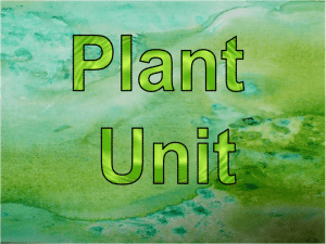 File plant powerpoint_all standards