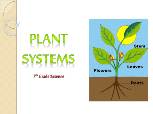 Plant Systems Notes plantsystems12
