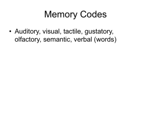 Memory Codes