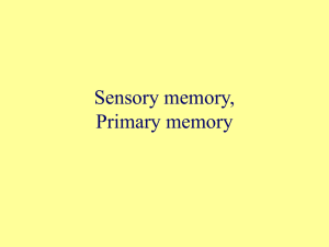 Sensory memory, Short term memory, Working memory