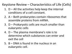 Keystone Review * Characteristics of Life (Cells)