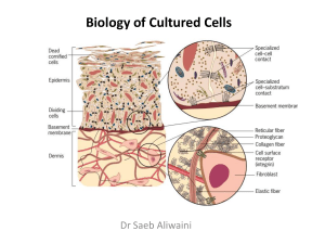 Biology of Cultured Cells