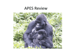 APES Review - Henry County Schools
