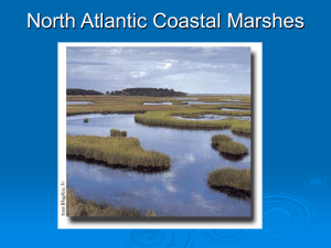 4. North Atlantic Coastal Marshes