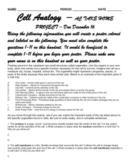Examples Of Persuasive Essays For High School Business Cycle Essay also Research Paper Vs Essay Plant Cell Analogy Essay High School And College Essay