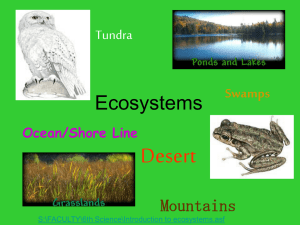 Ecosystem: All of the living and non-living things that interact in an