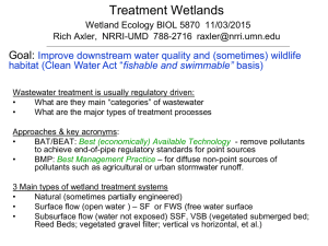 Treatment Wetlands - University of Minnesota Duluth